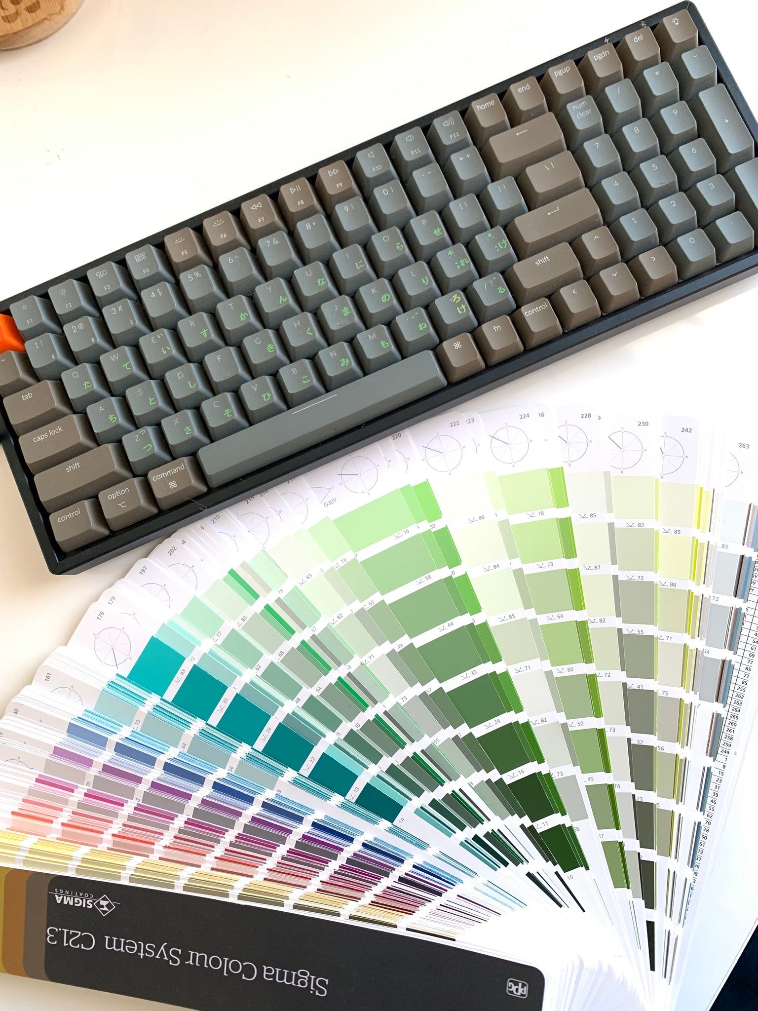 Designer assistance & color reccomendation by Anna, Keyshorts